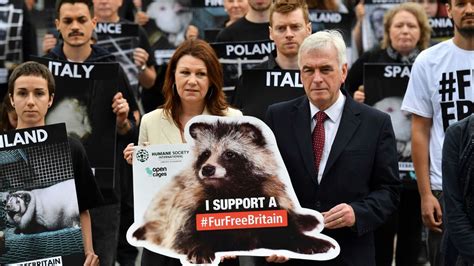 humane society international scandal|Fake faux fur scandal: Mislabelling of fur clothing and accessories .